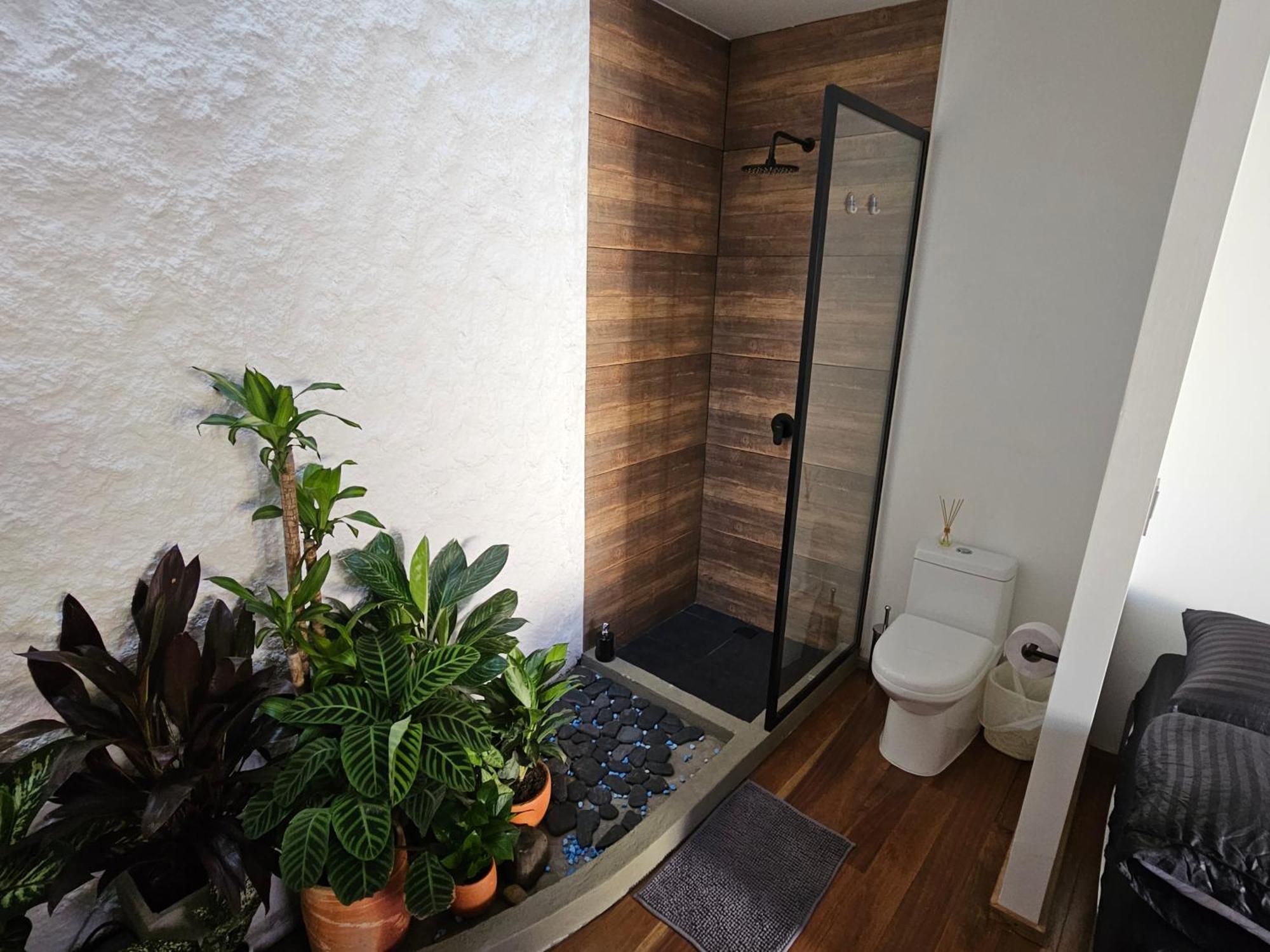 Casa Alba 호텔 칼리 외부 사진